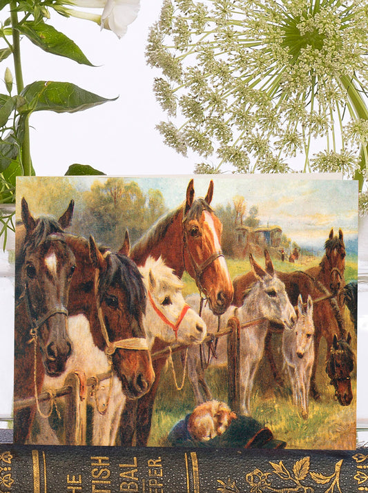 Horse Lovers Vintage Little Greeting Card