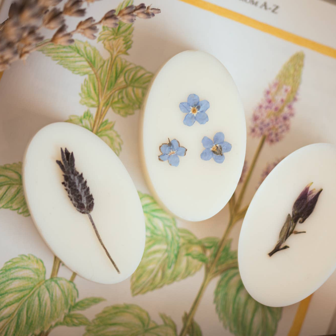 "Natures Veil" Botanical Wax Melts