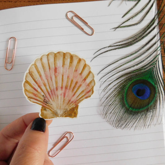 Hand holding a scallop shell sticker near a peacock feather on lined paper.