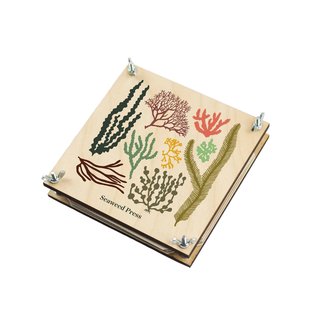 Studio Wald seaweed press kit