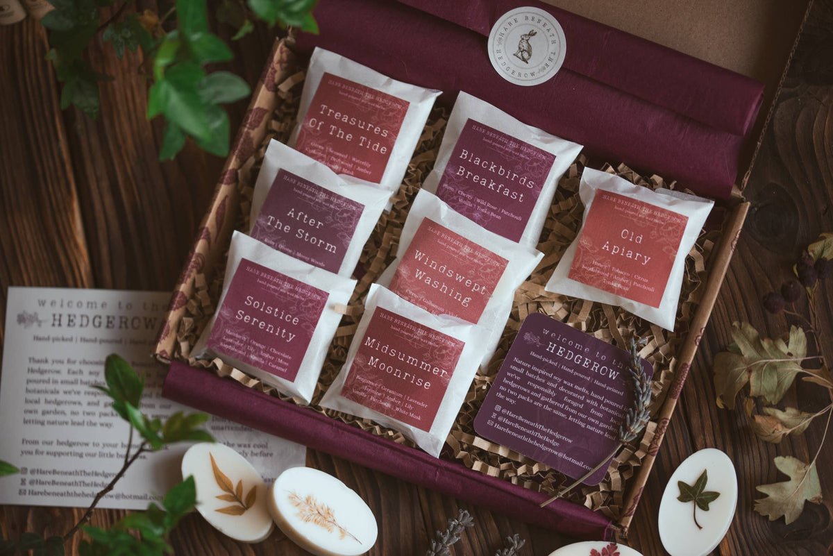 Botanical Wax Melts (Singles)