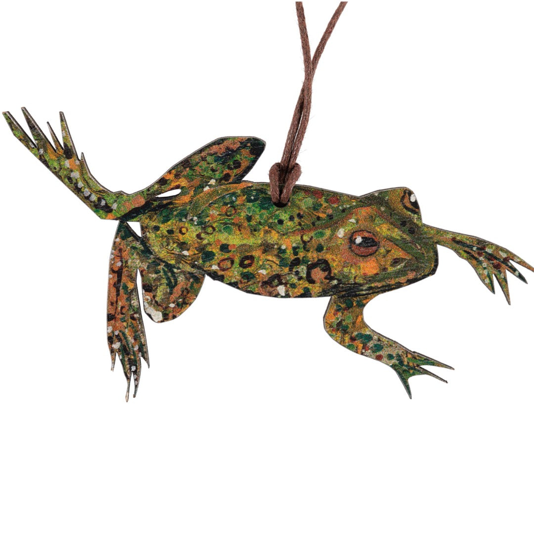 Clare O'Neill frog printed birch wood decoration