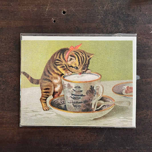 Kitty And Teacup Little Greetings Card