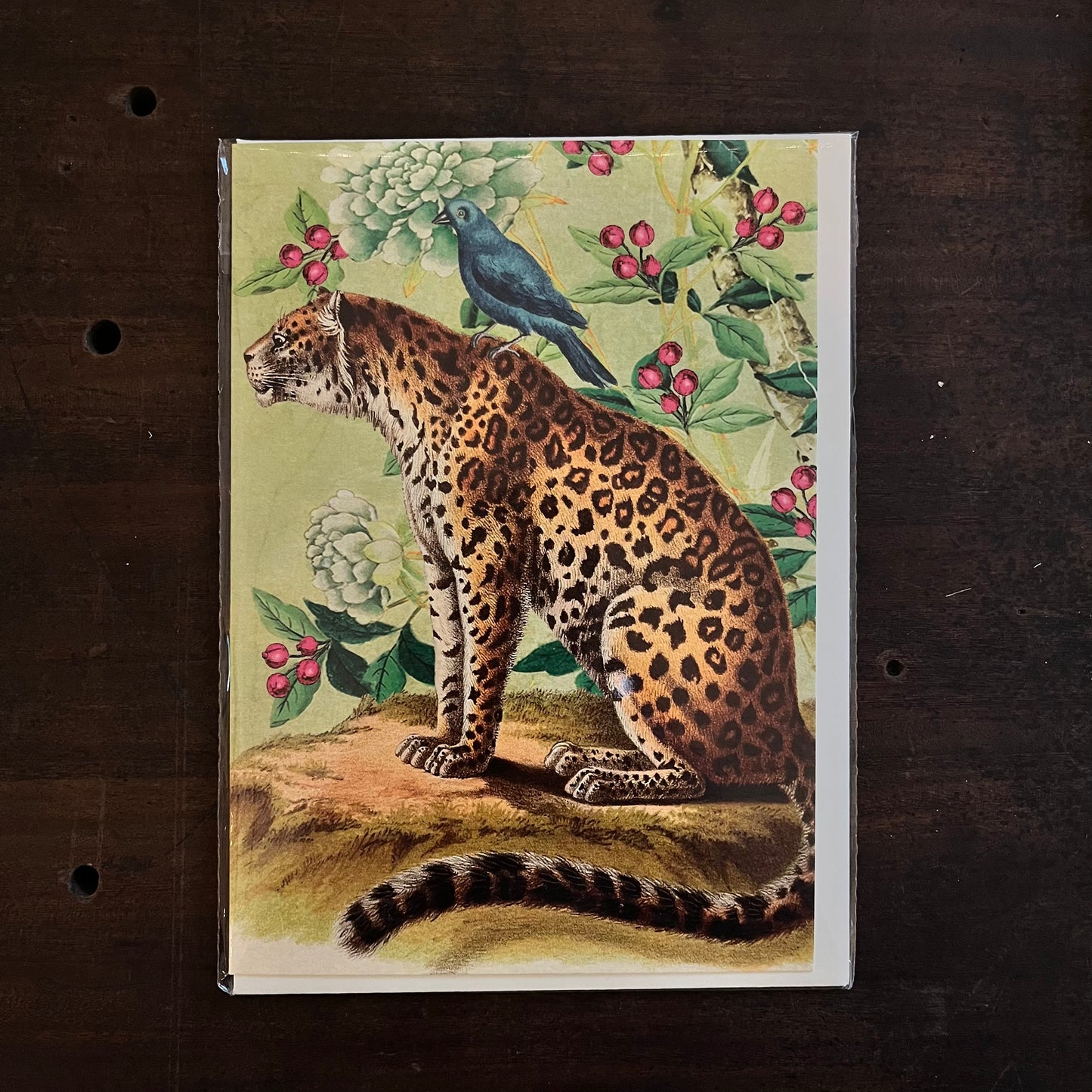 Big Cat Greetings Card