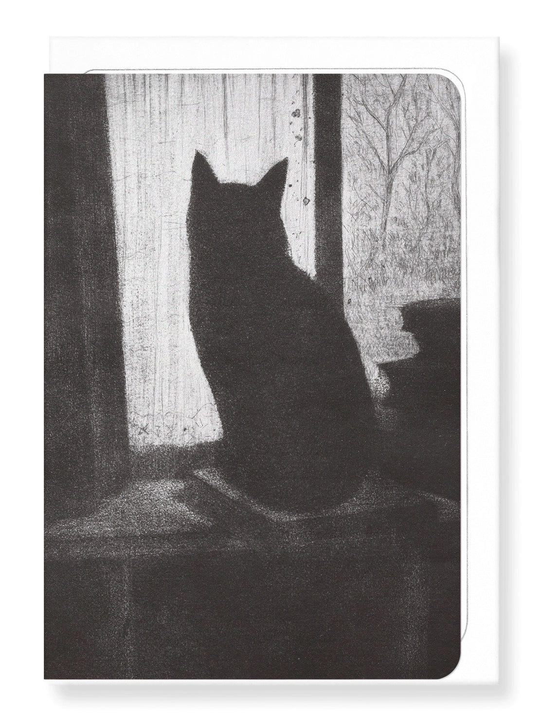 Cat On A Book Greetings Card