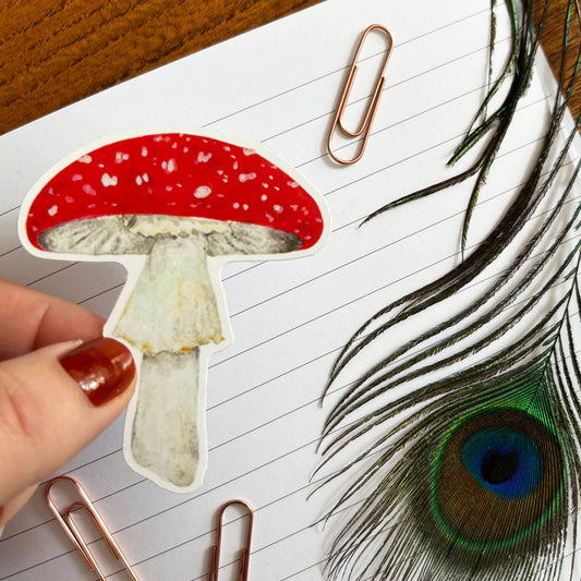 Fungi Fly Agaric Mushroom Eco Paper Sticker