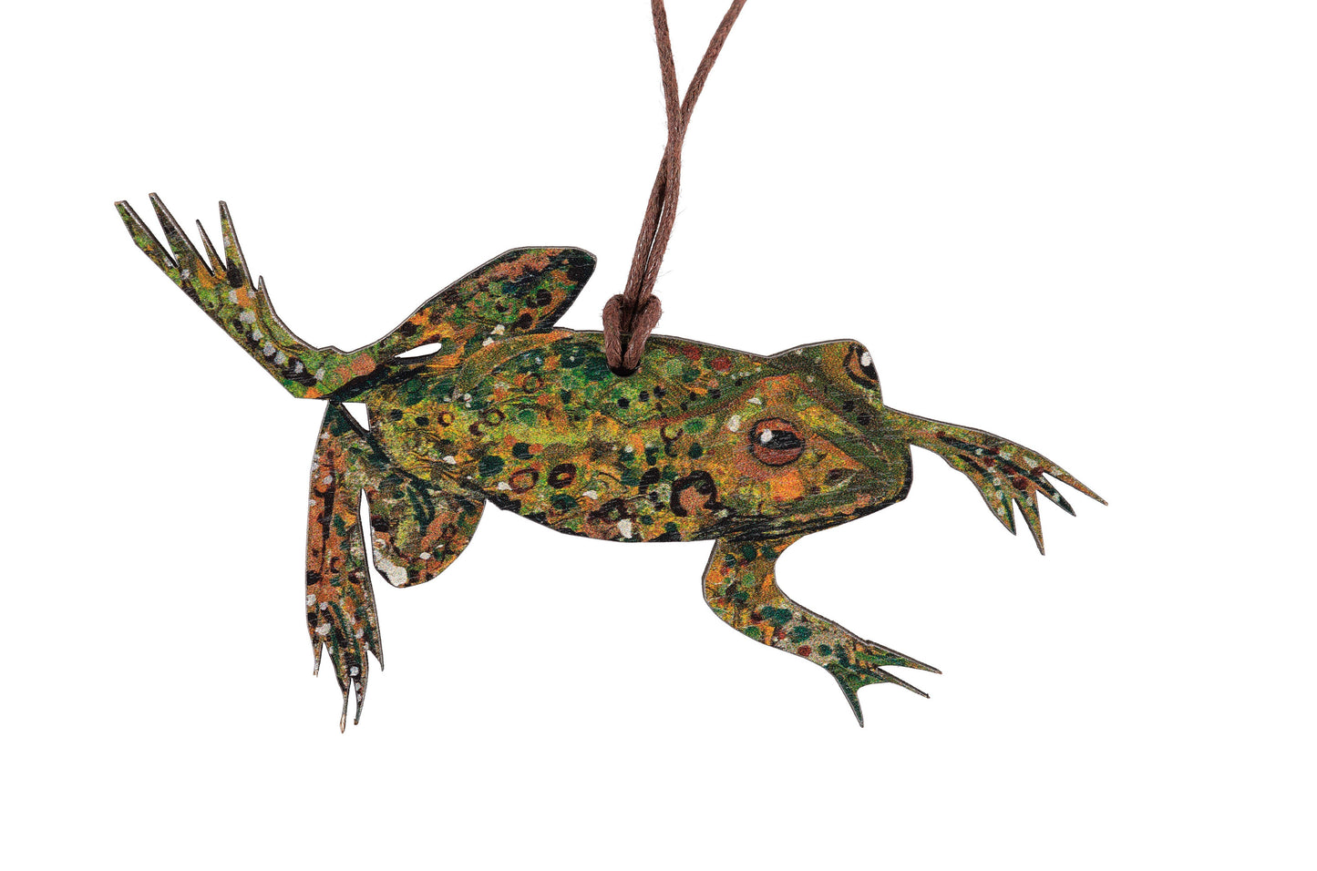 Frog Wooden Decoration