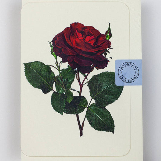 Canonbury Press - Red Rose Notecard