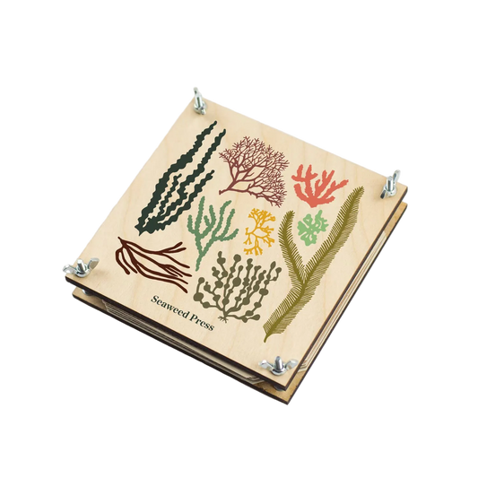 Seaweed Press Kit