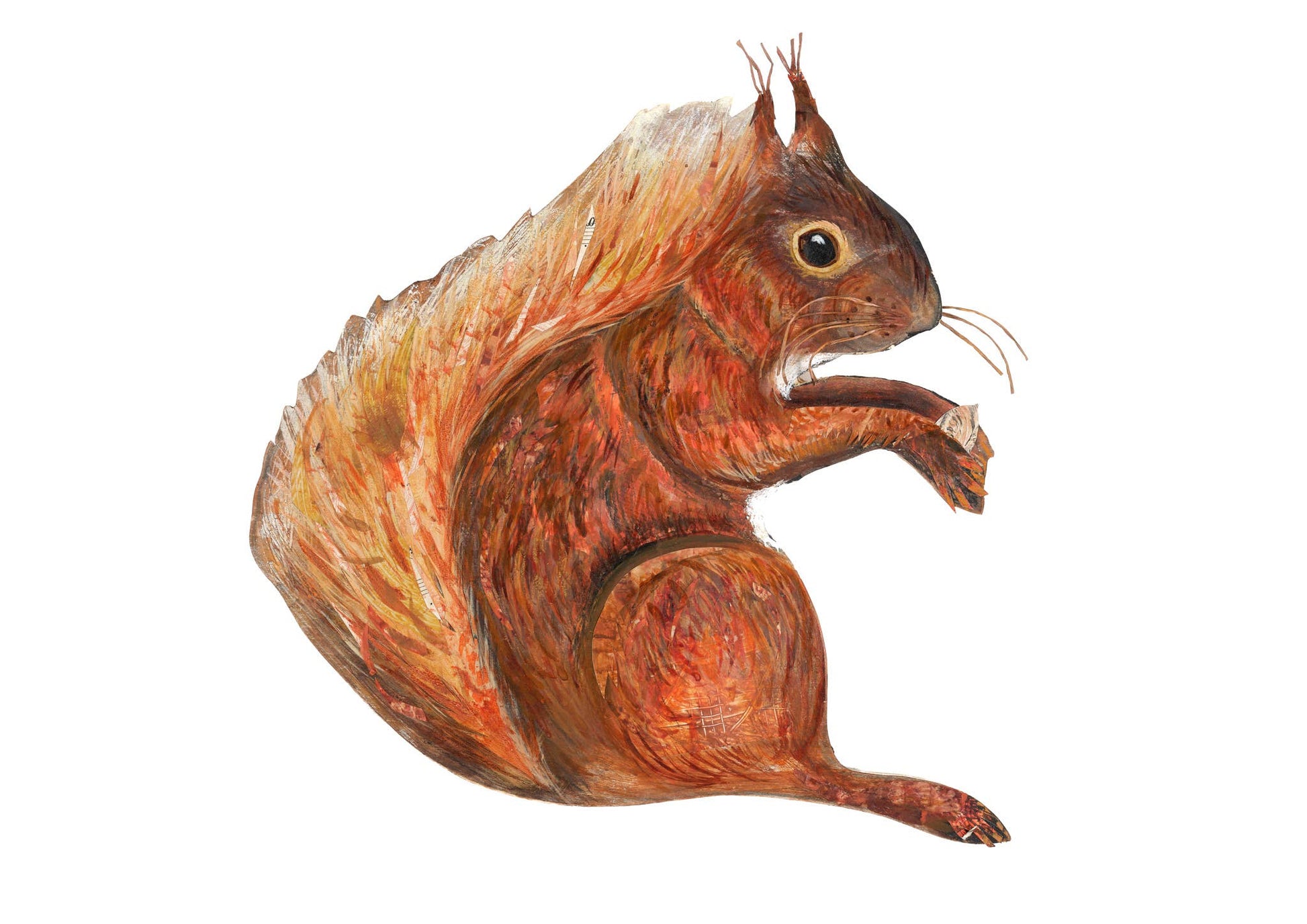 hand painted squirrel decoration