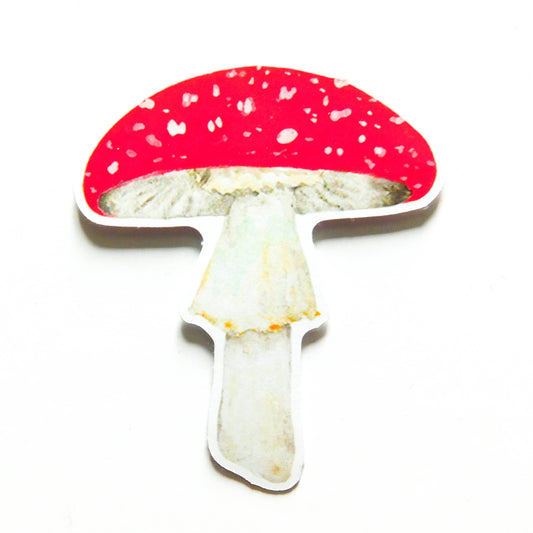 Fungi Fly Agaric Mushroom Eco Paper Sticker