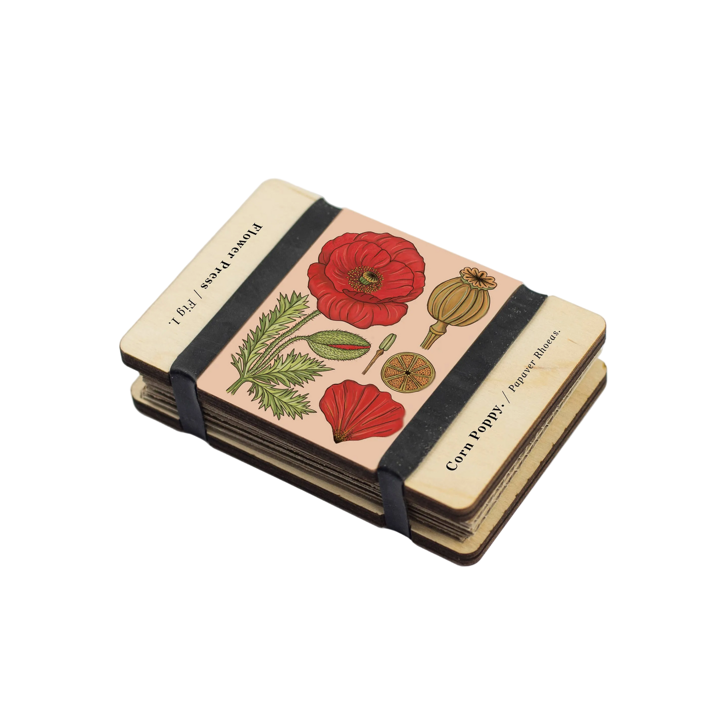 Pocket Flower Press By Studio Wald