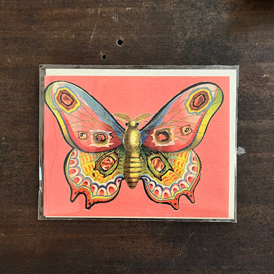 Flutter-By Butterfly Little Greetings Card