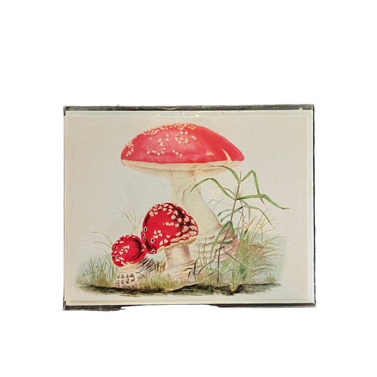 Woodland Mushroom Little Greetings Card