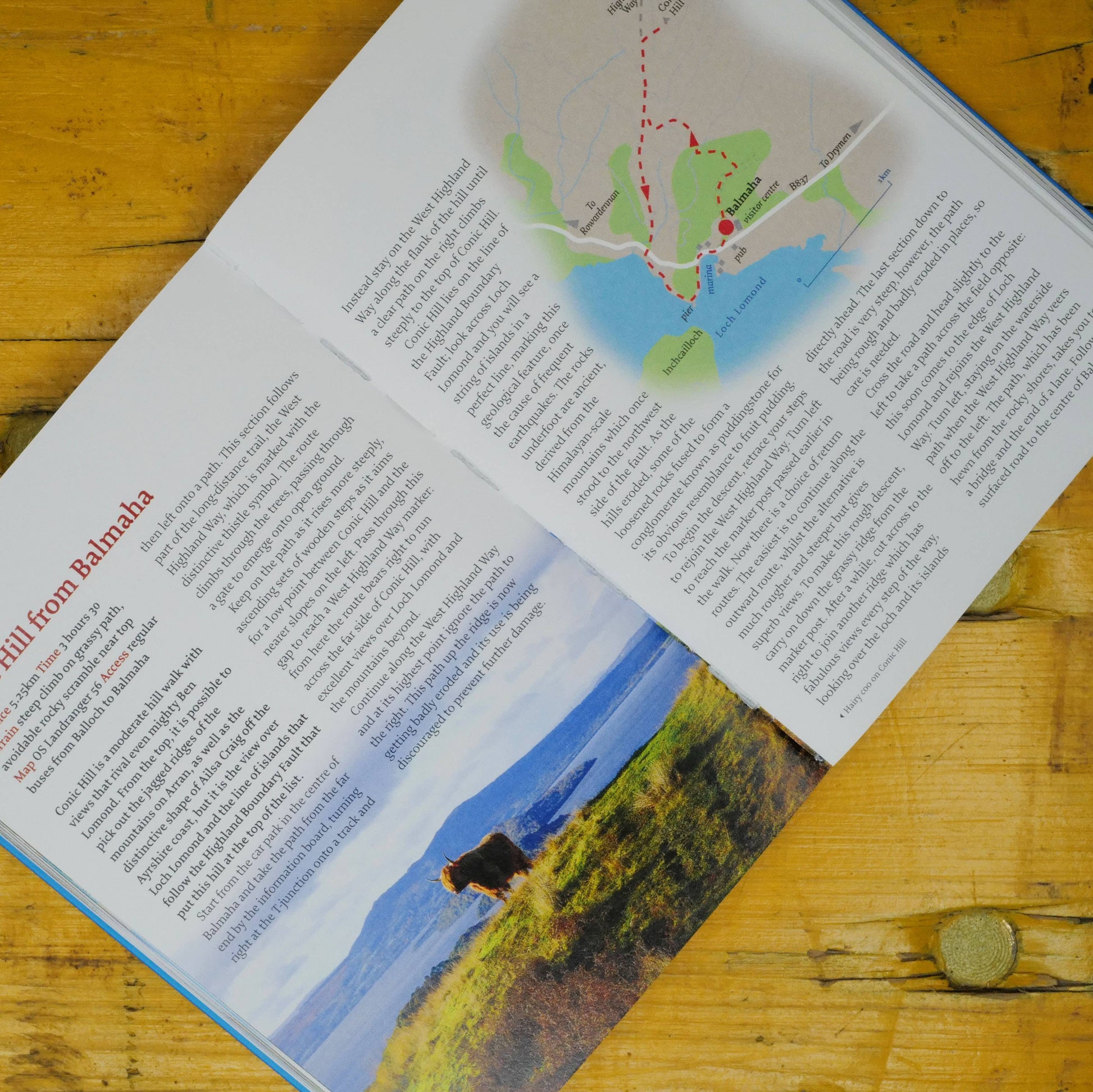 Loch Lomond walking book open with photgraph of highland cow and trail map