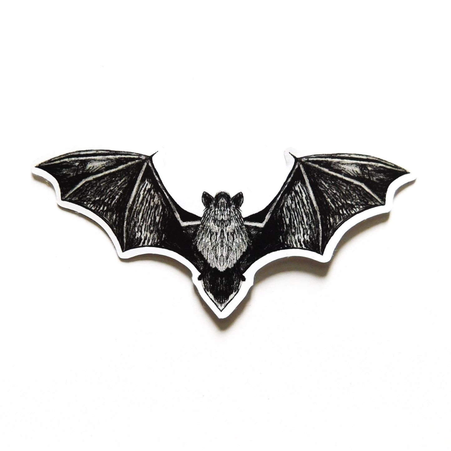 Chiroptera Pipistrelle Bat Eco Paper Sticker