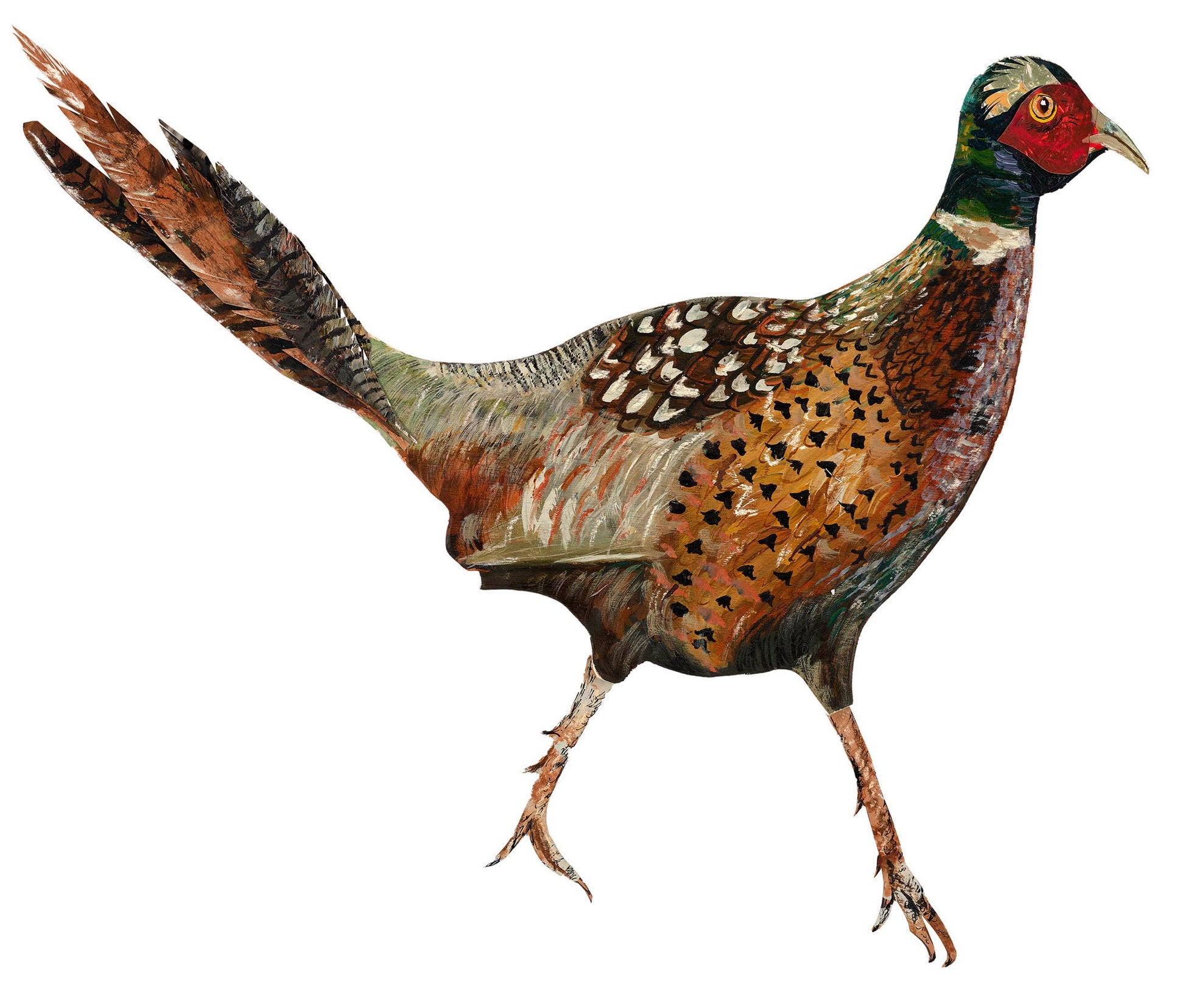 A wooden decoration in the shape of a pheasant with a printed full-color design on one side.