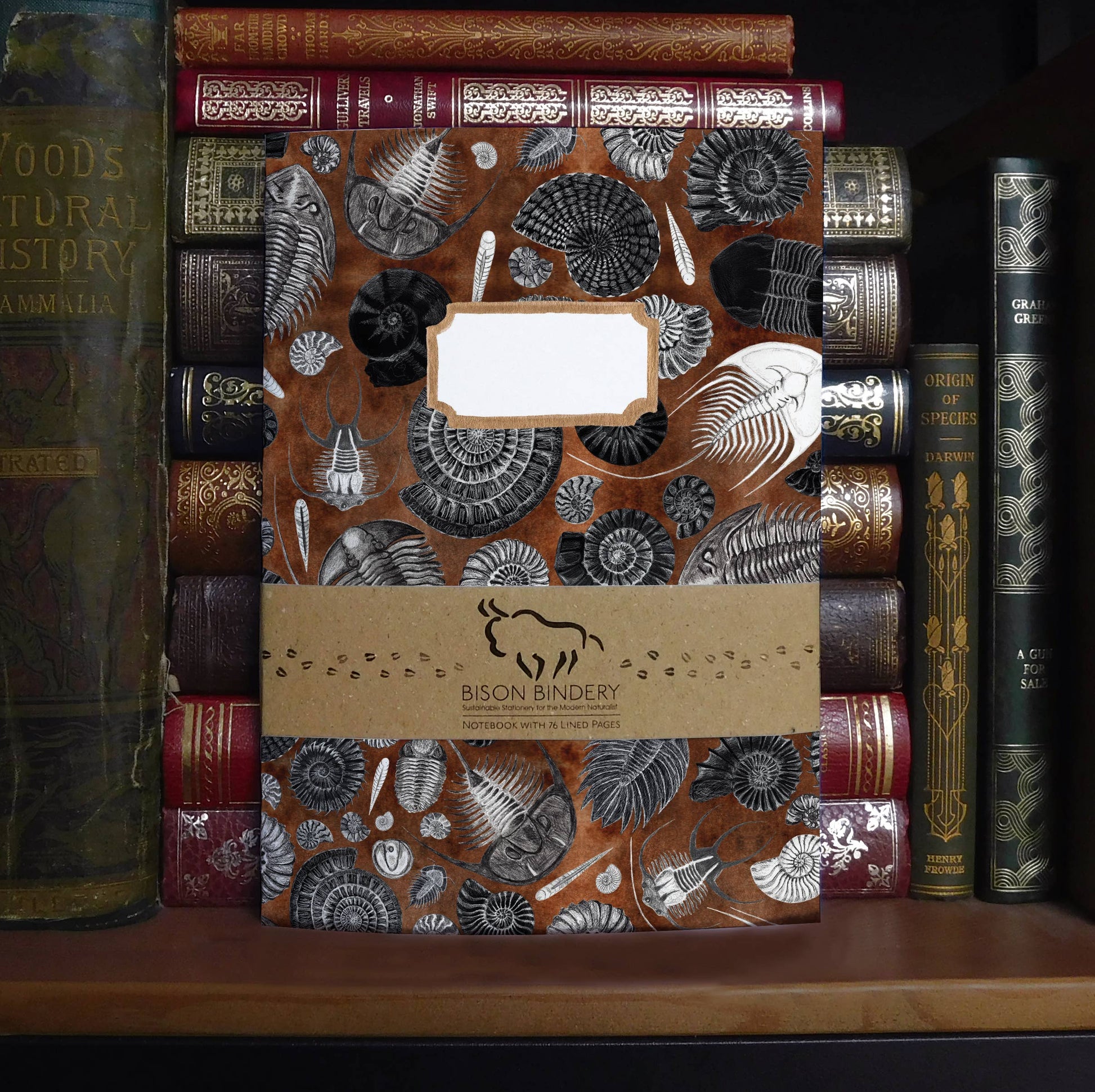 hand painted fossil notebook with Bison Bindery branding on a shelf with antique books