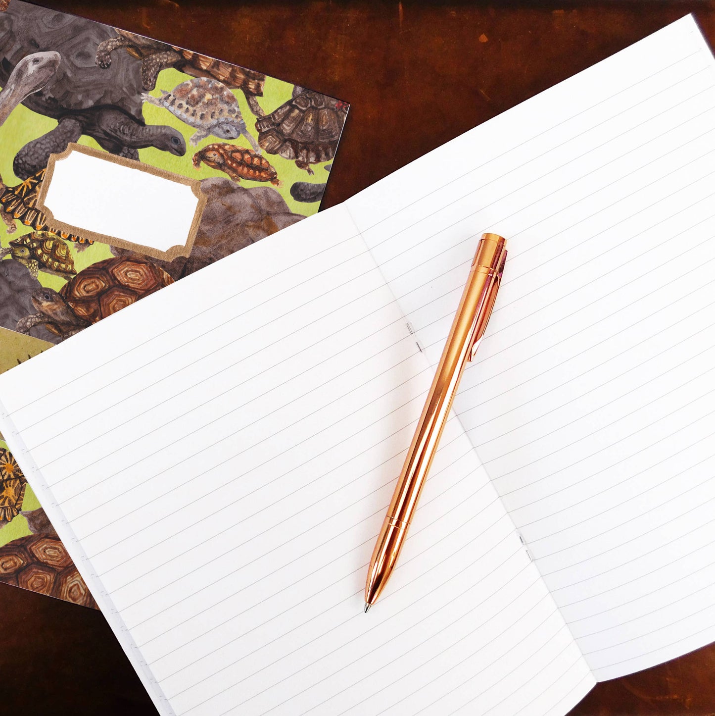 haind painted tortoise notebook, open showing lined recycled paper pages

