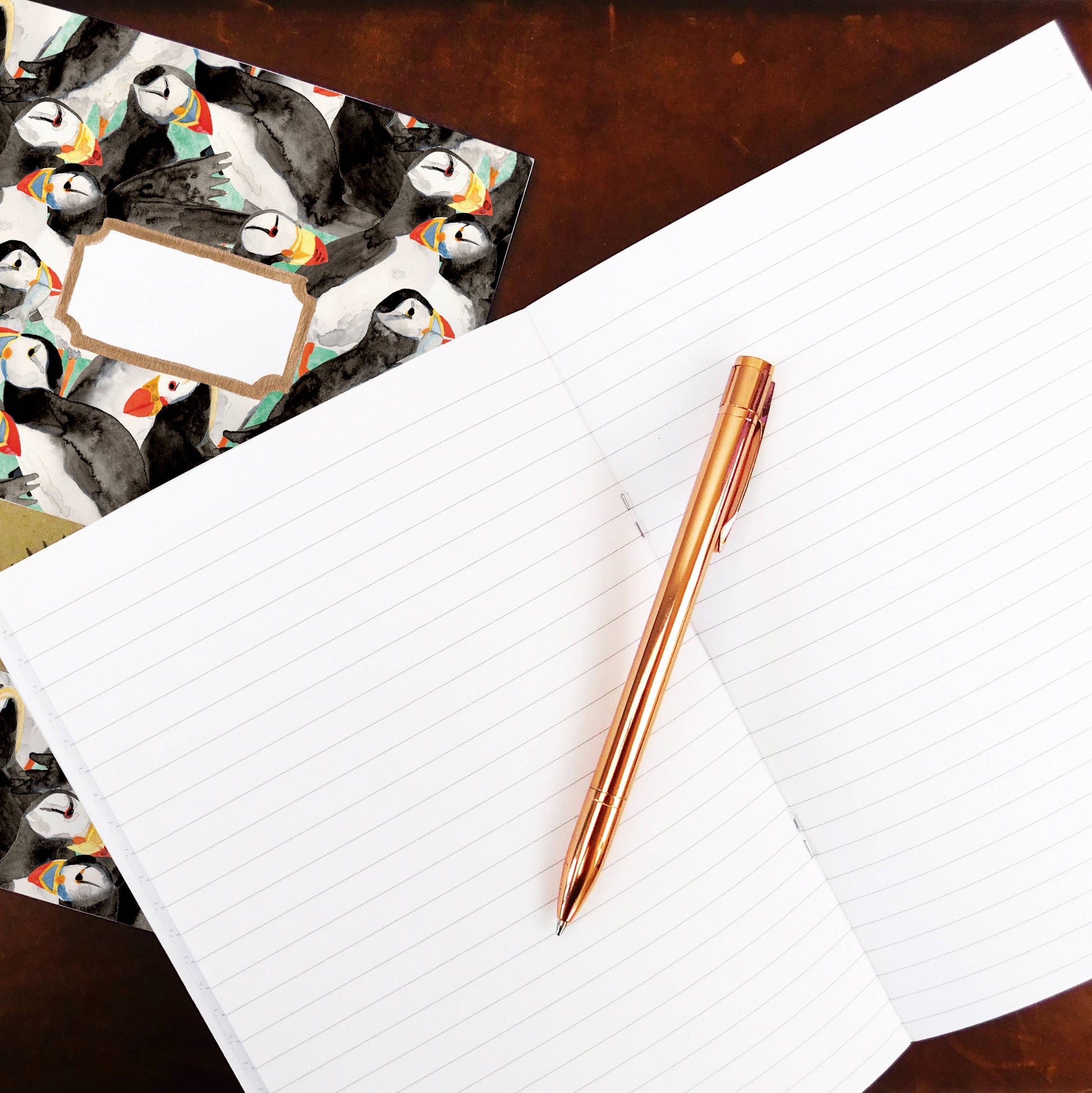 recycled lined paper puffin notebook open