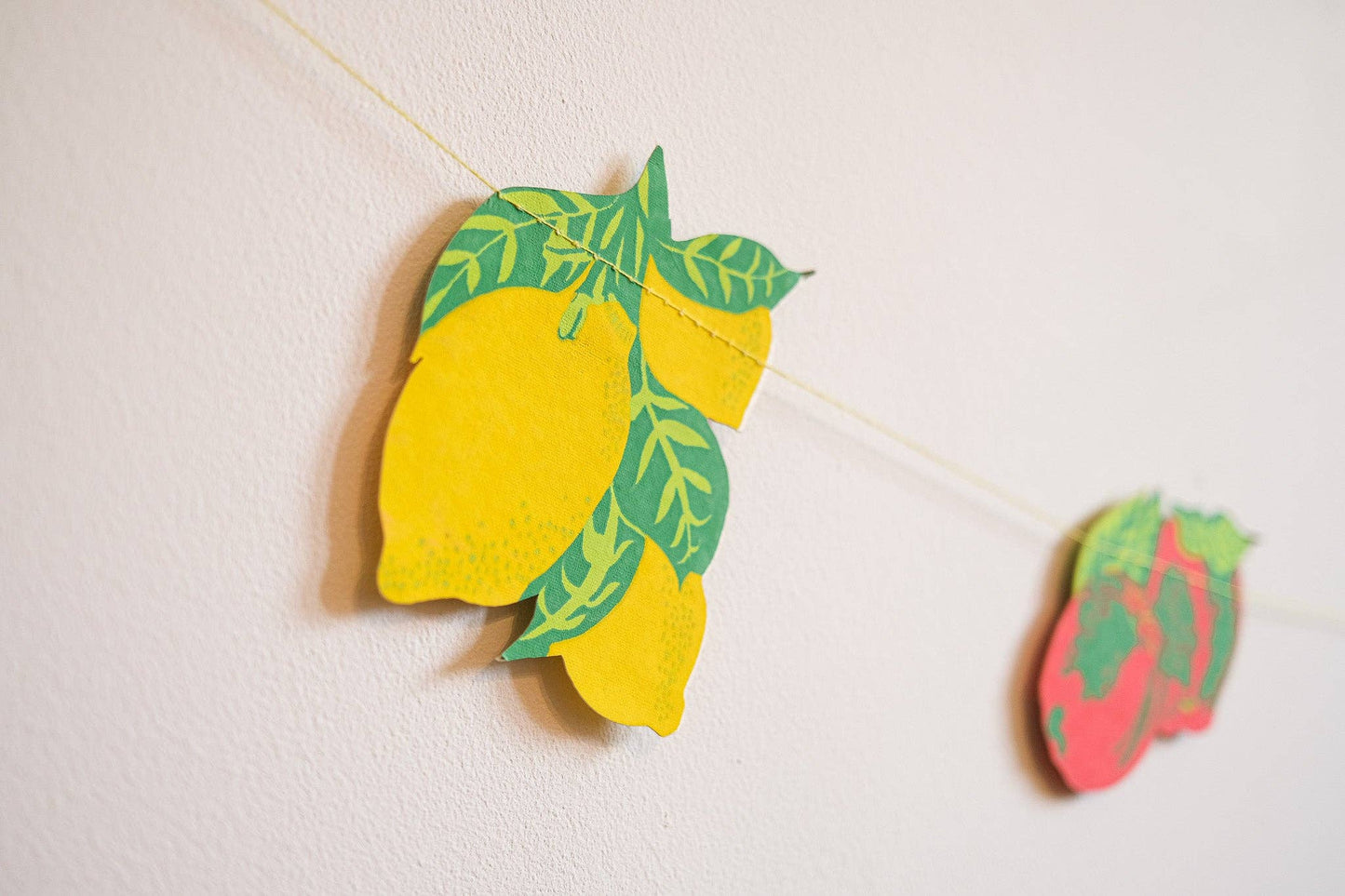 Summer Fruit Paper Garland