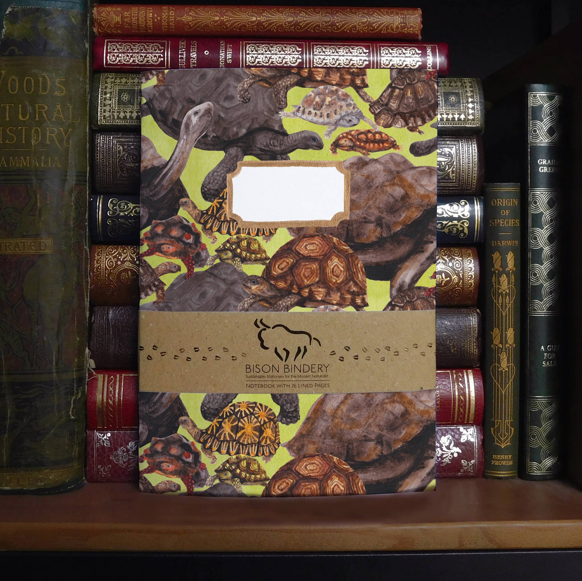 hand painted animal tortoise notebook with customisable front on a shelf with decorative books 
