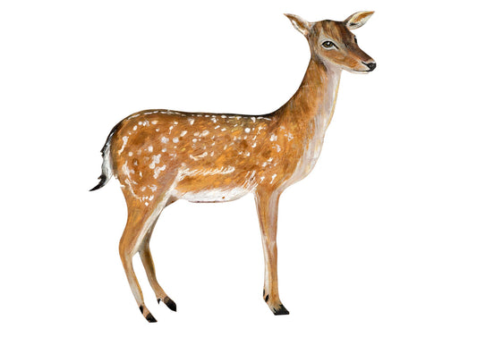 Deer illustration wooden decoration